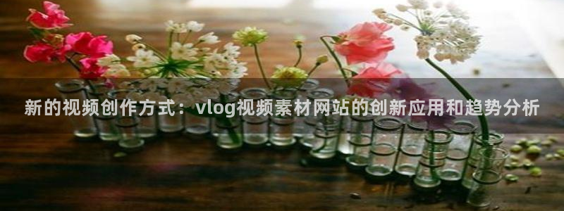 糖心volog：新的视频创作方式：vlog视频素材网站的创新
